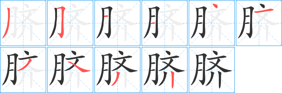 脐字的笔顺