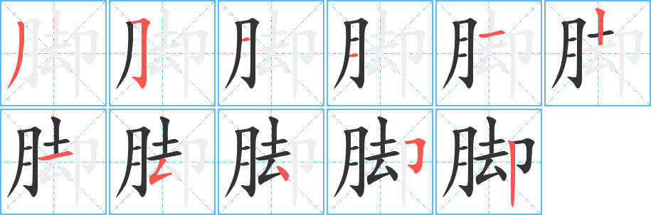 脚字的笔顺