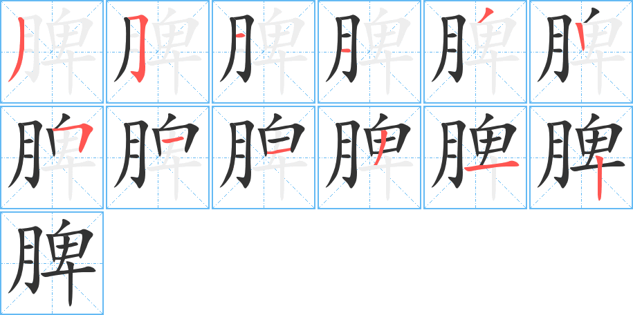 脾字的笔顺
