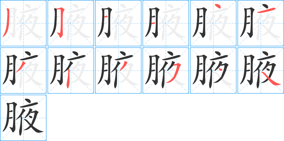 腋字的笔顺