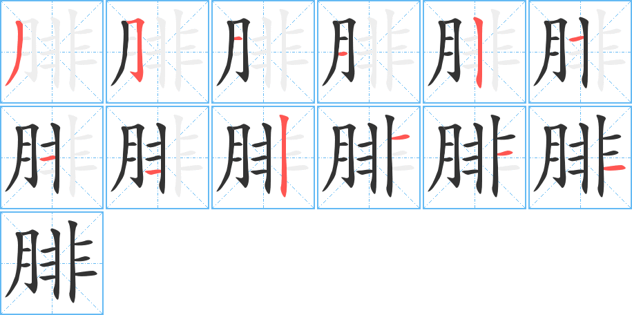 腓字的笔顺