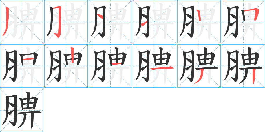 腗字的笔顺