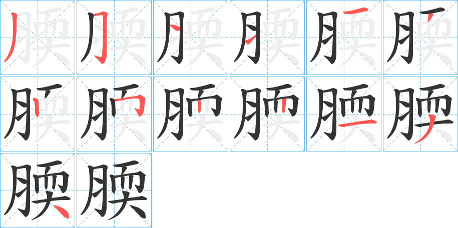 腝字的笔顺