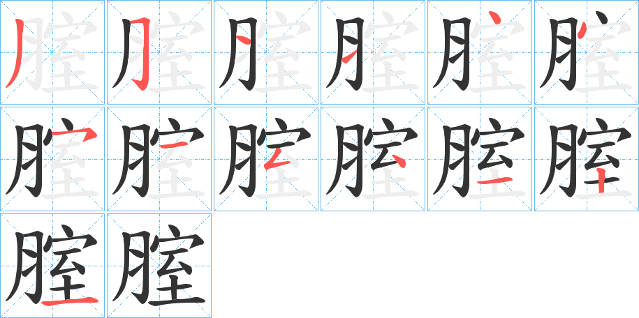 腟字的笔顺