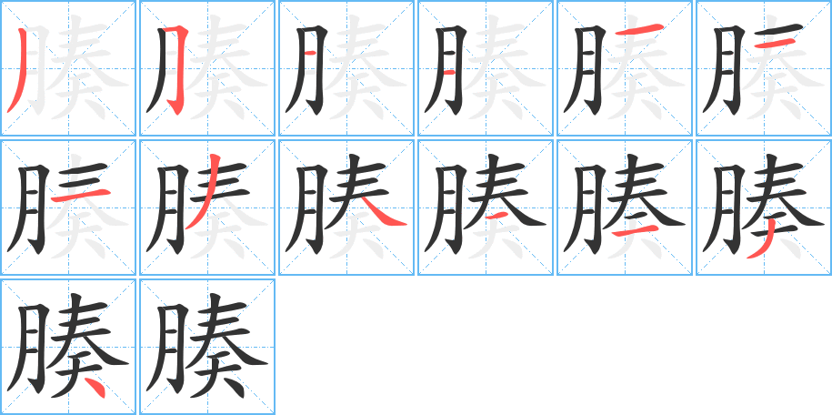 腠字的笔顺