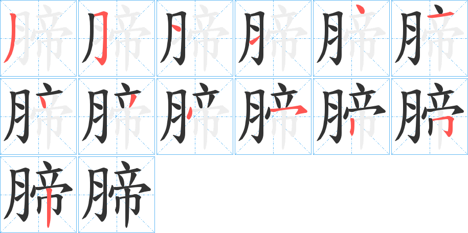 腣字的笔顺