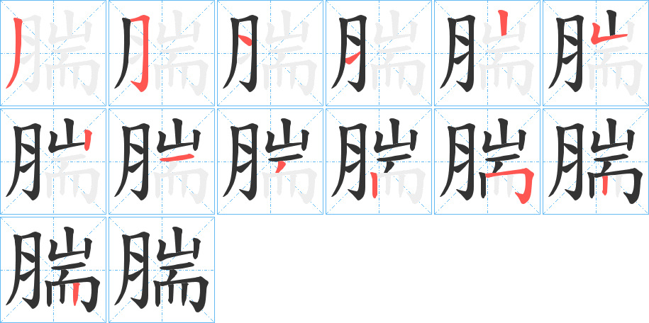 腨字的笔顺