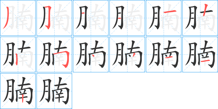 腩字的笔顺
