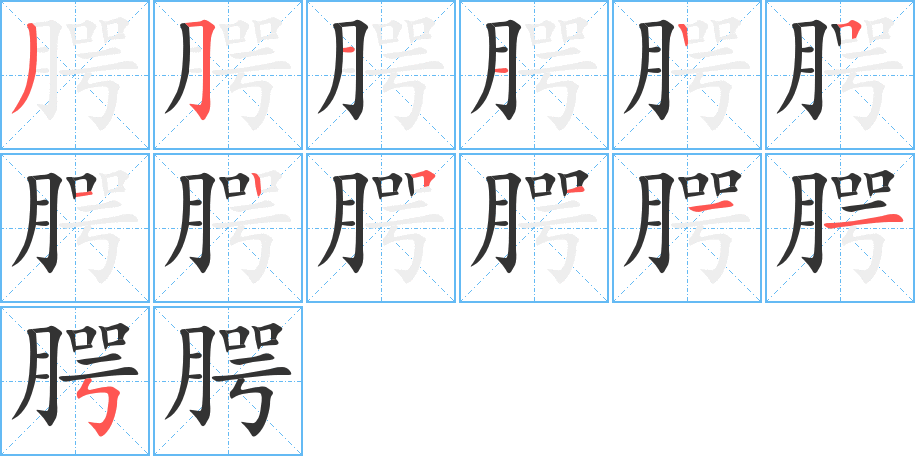 腭字的笔顺