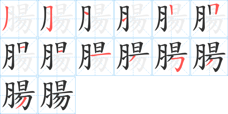 腸字的笔顺