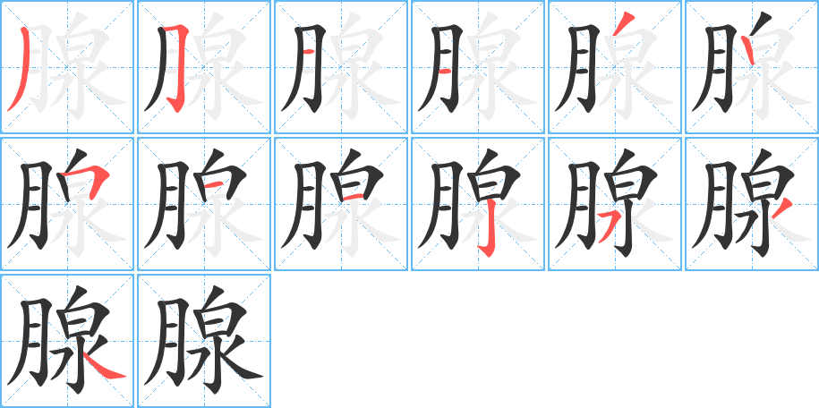 腺字的笔顺