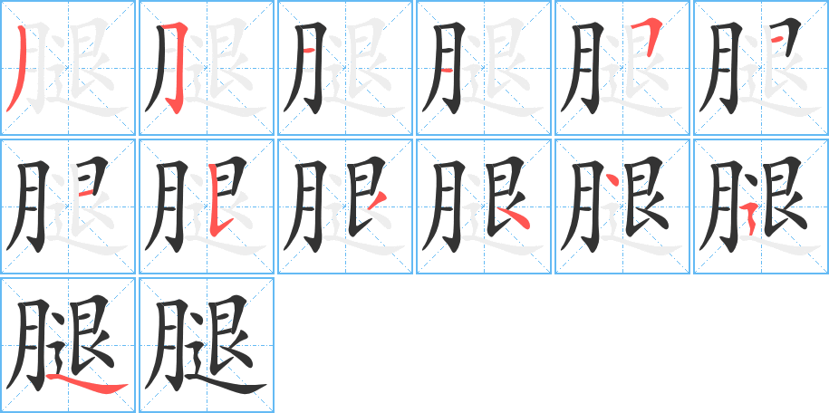 腿字的笔顺