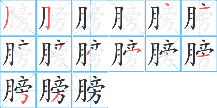 膀字的笔顺