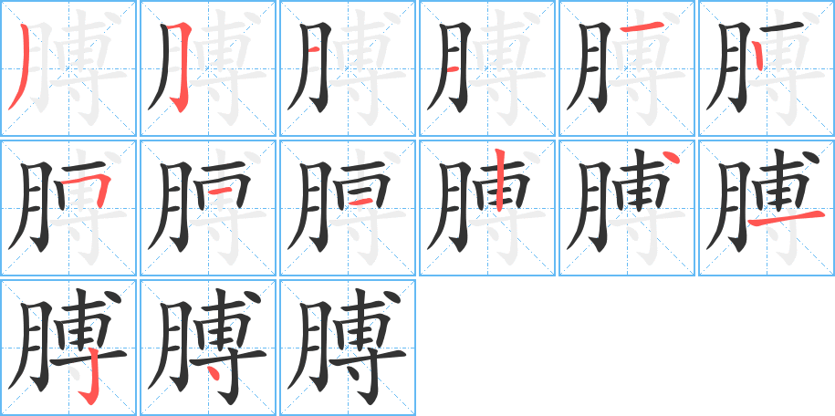膊字的笔顺