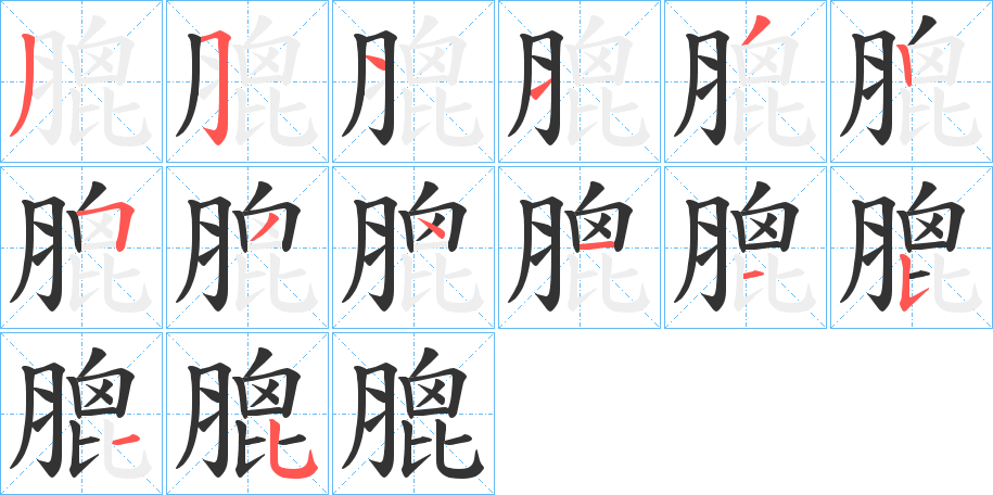 膍字的笔顺