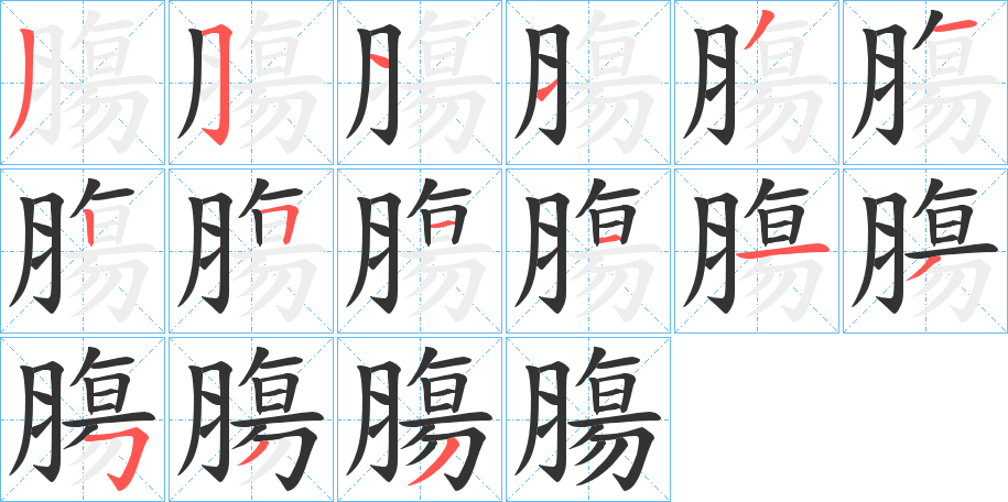 膓字的笔顺