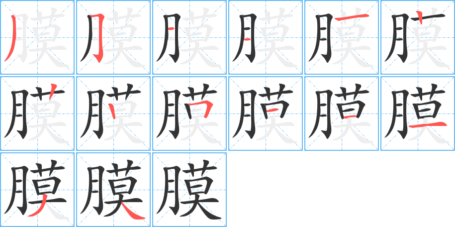 膜字的笔顺
