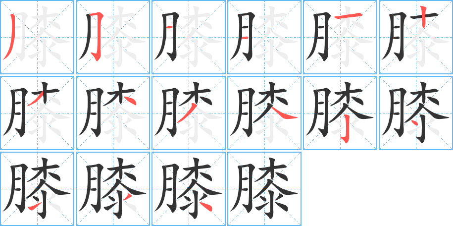 膝字的笔顺