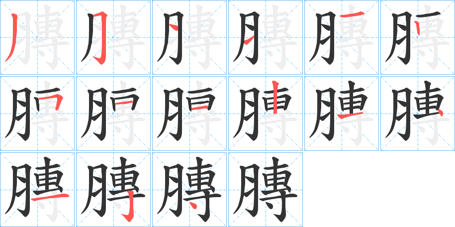 膞字的笔顺
