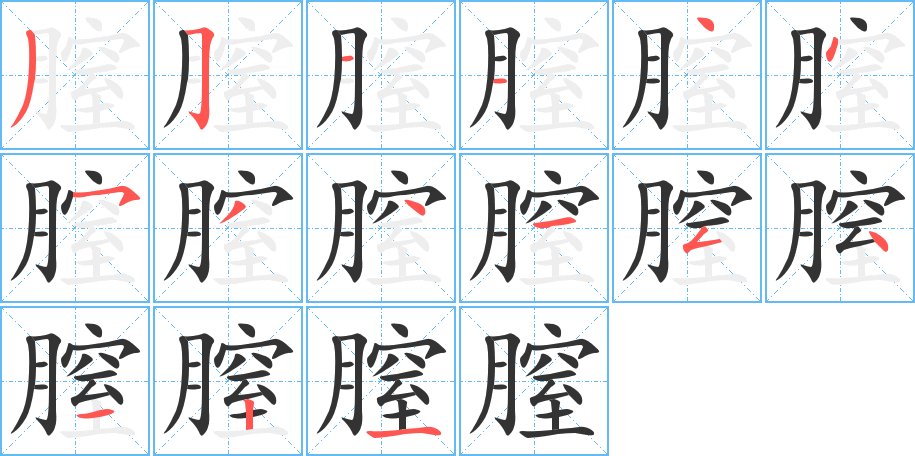 膣字的笔顺