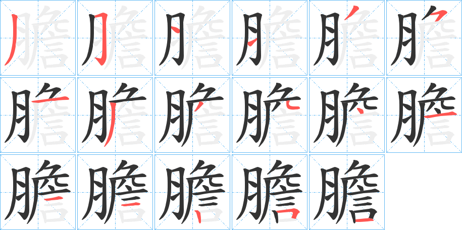 膽字的笔顺