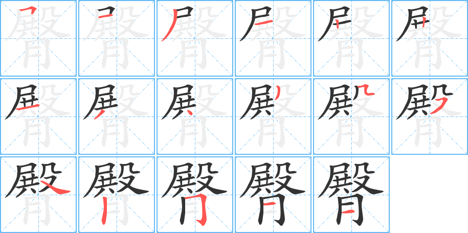 臀字的笔顺