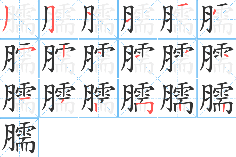 臑字的笔顺