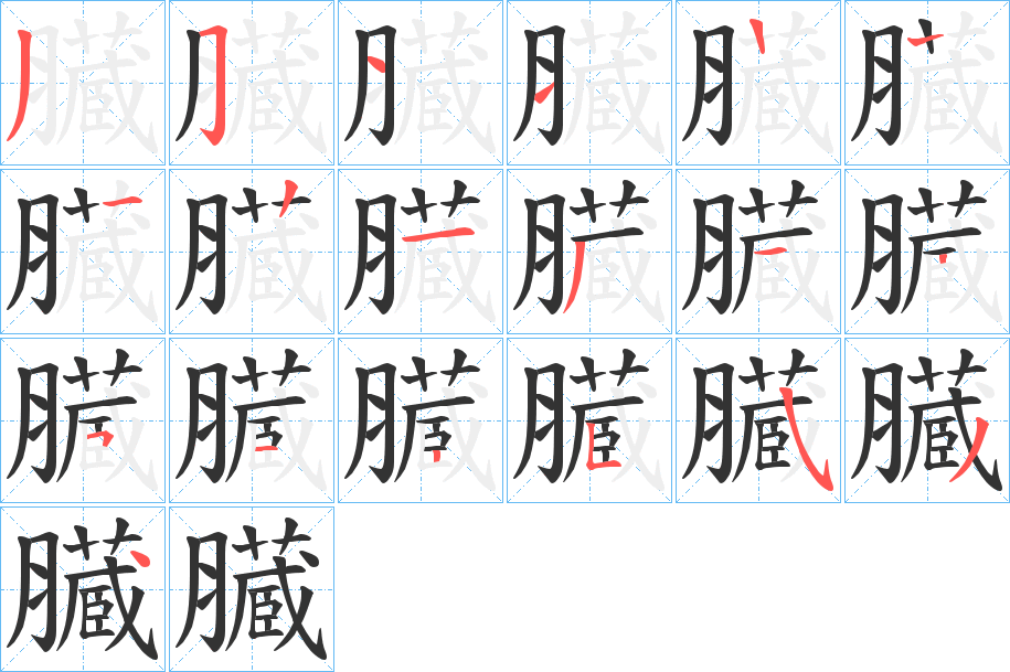 臓字的笔顺
