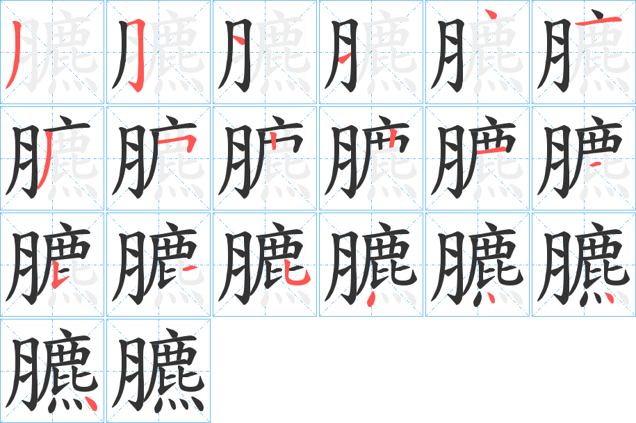 臕字的笔顺