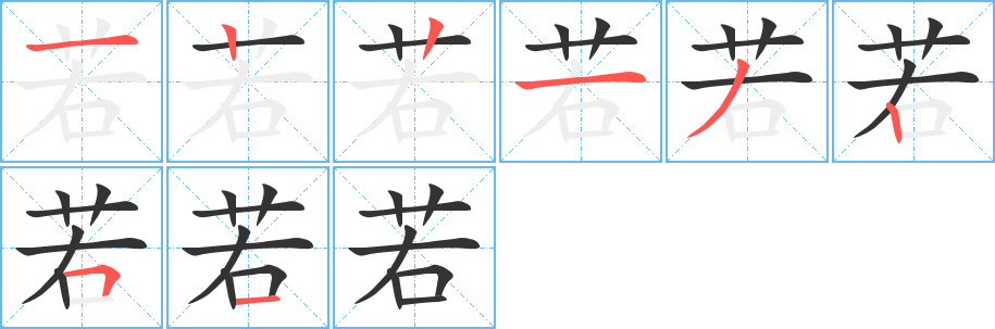 若字的笔顺