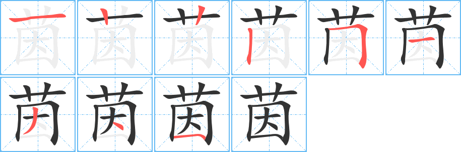 茵字的笔顺