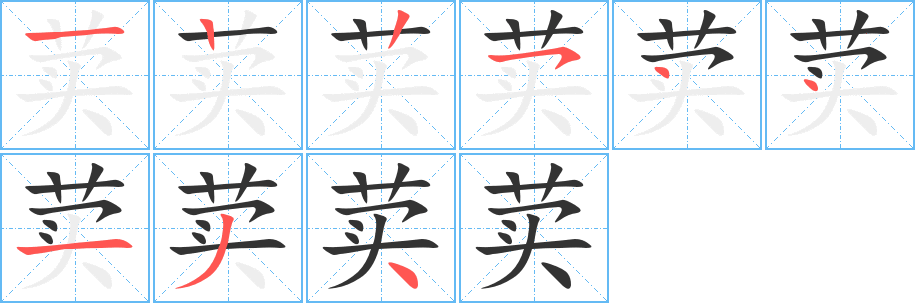 荬字的笔顺