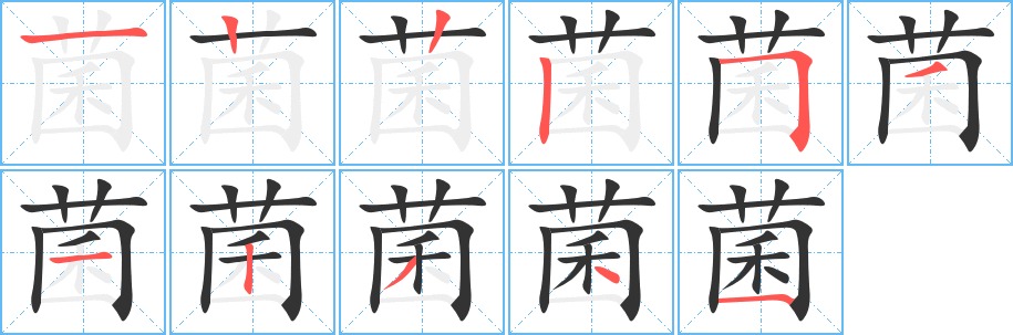 菌字的笔顺