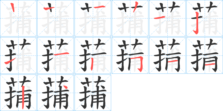 蒱字的笔顺