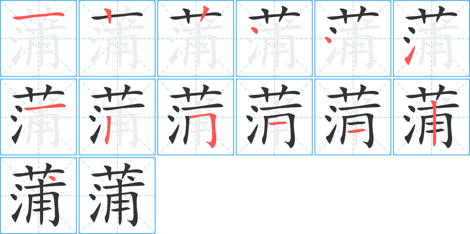 蒲字的笔顺