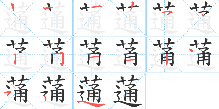 蓪字的笔顺
