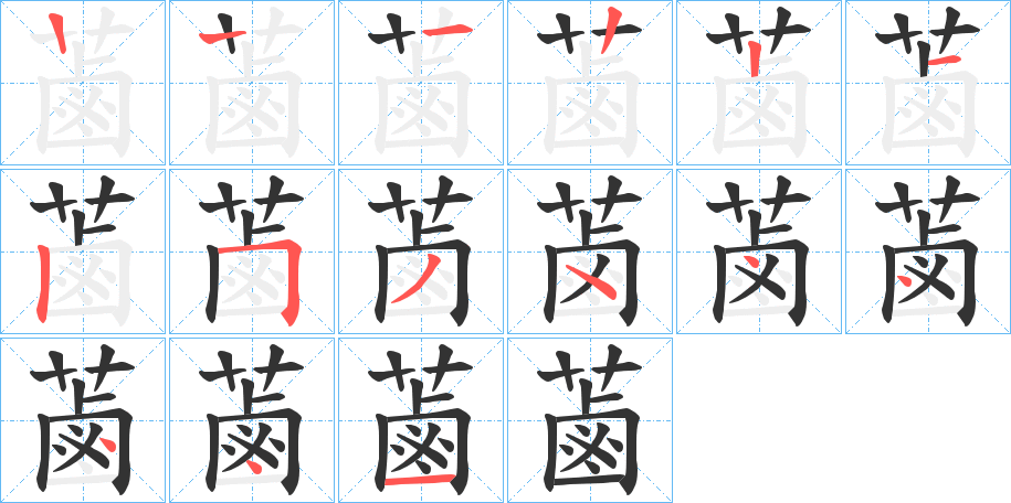 蓾字的笔顺
