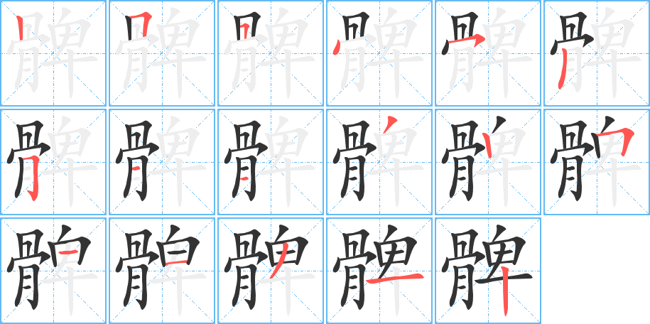 髀字的笔顺