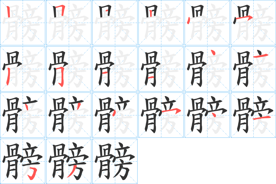 髈字的笔顺