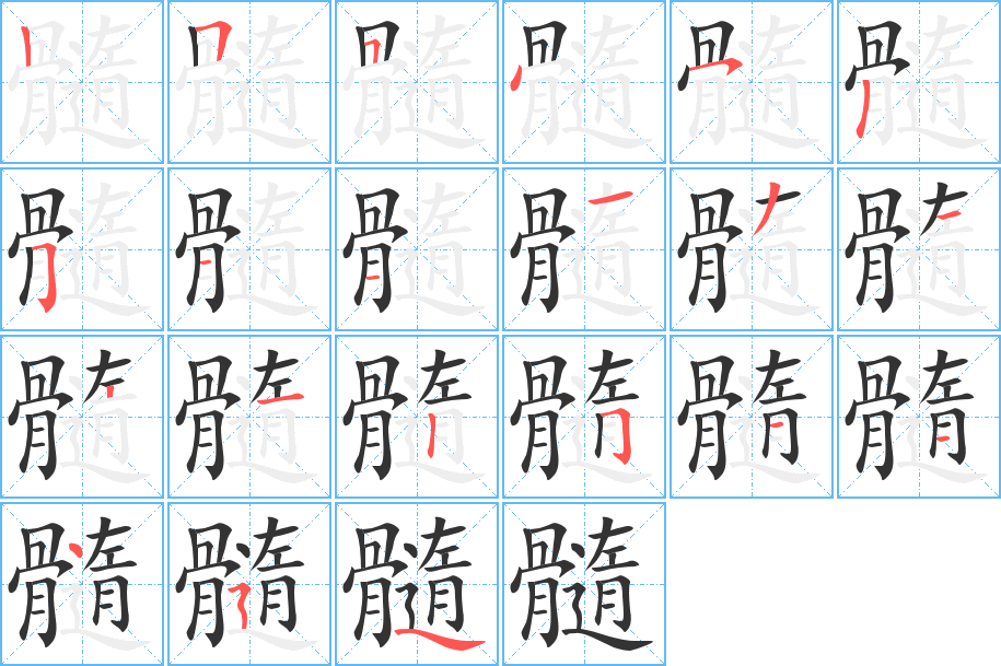 髓字的笔顺
