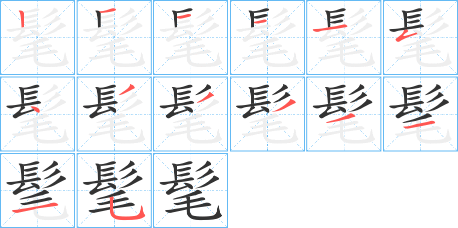 髦字的笔顺