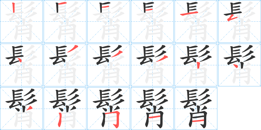髾字的笔顺