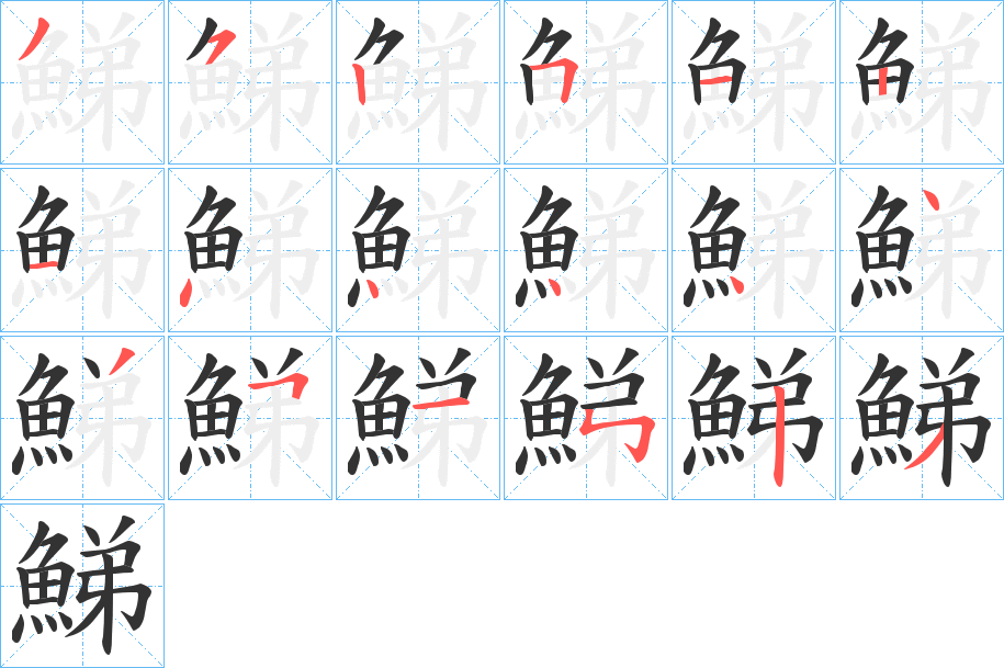 鮷字的笔顺