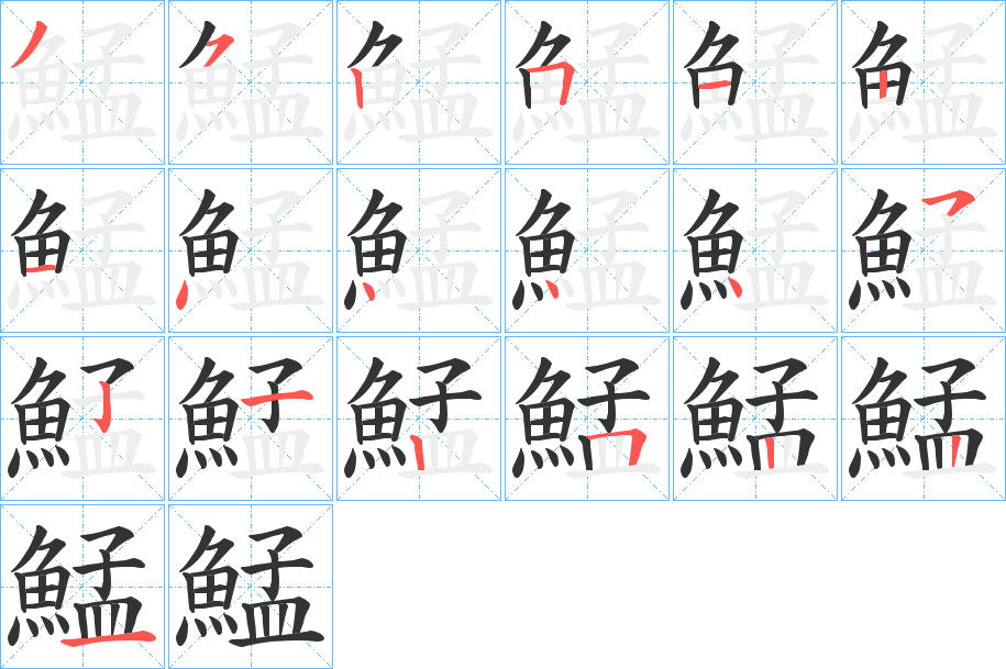 鯭字的笔顺