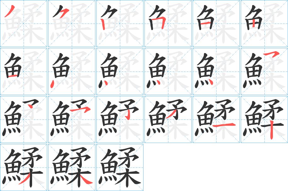 鰇字的笔顺