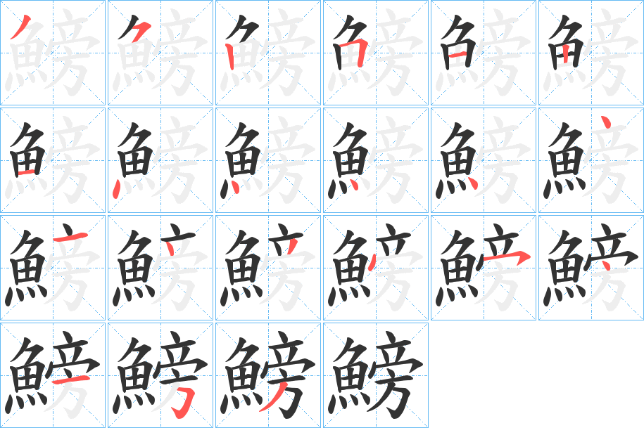 鰟字的笔顺