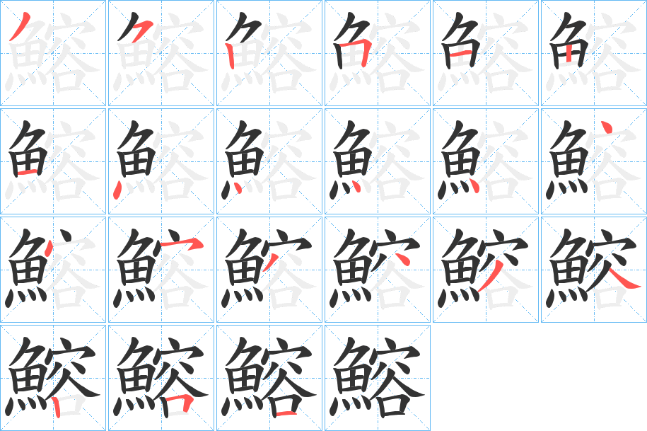 鰫字的笔顺