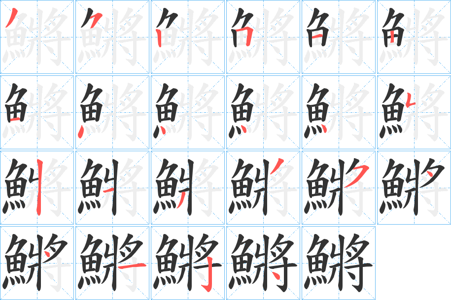 鱂字的笔顺