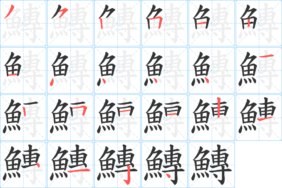 鱄字的笔顺