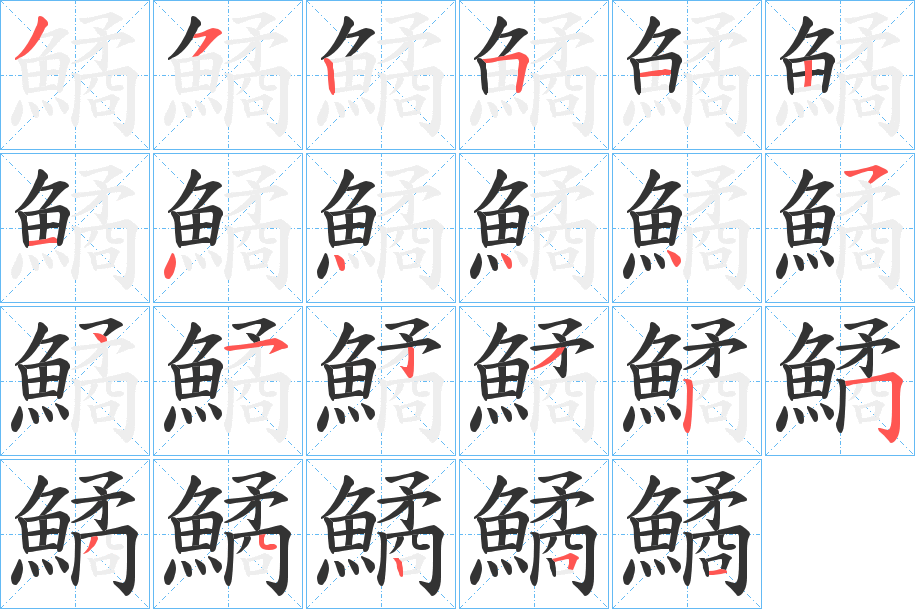 鱊字的笔顺